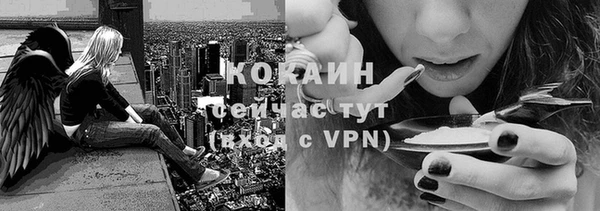 стаф Бородино