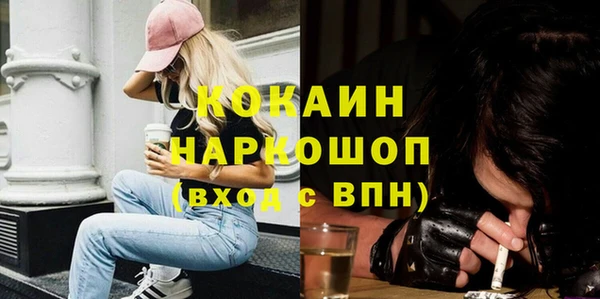 стаф Бородино